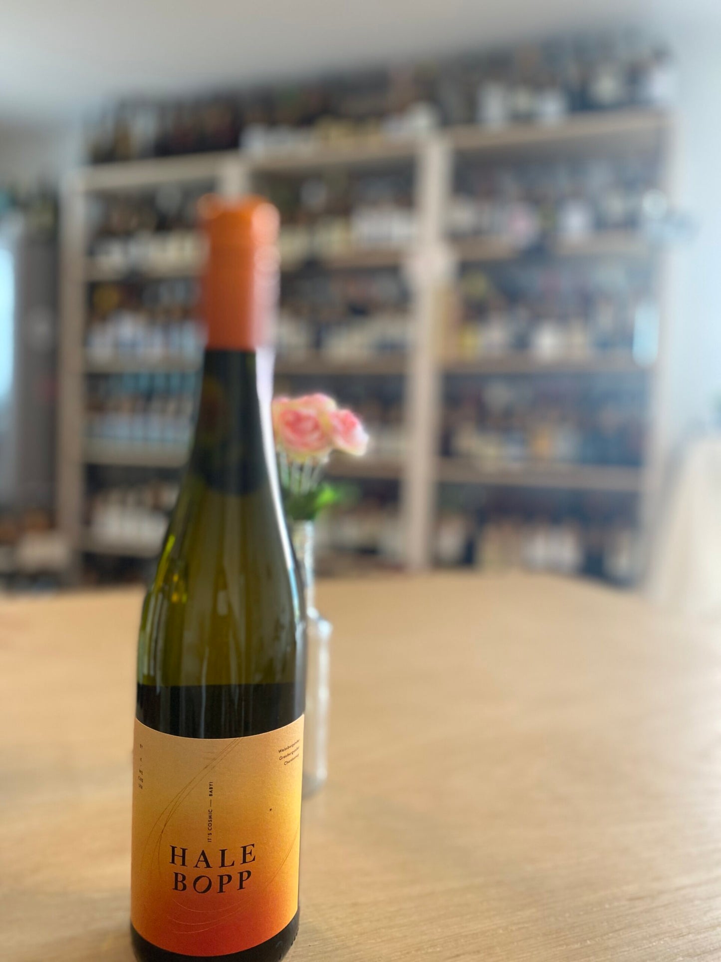 Hale Bopp, Weingut Katharina Wechsler, Rheinhessen BIO
