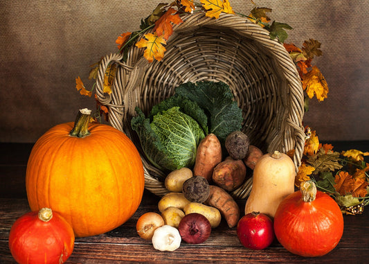 Welche Weine passen zu vegetarischen Herbstgerichten?