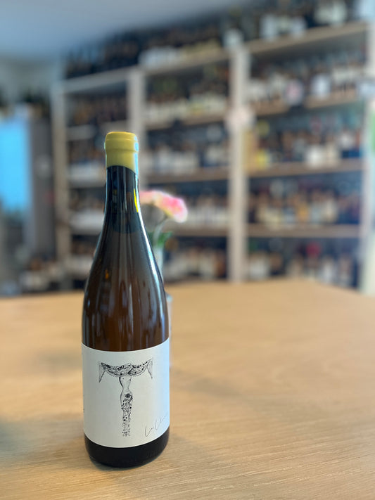 2021 La Llorona Godello, Verónica Ortega, Bierzo, Spanien